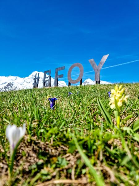 Circuit de randonnée : le Monal par Plan Bois_Sainte-Foy-Tarentaise