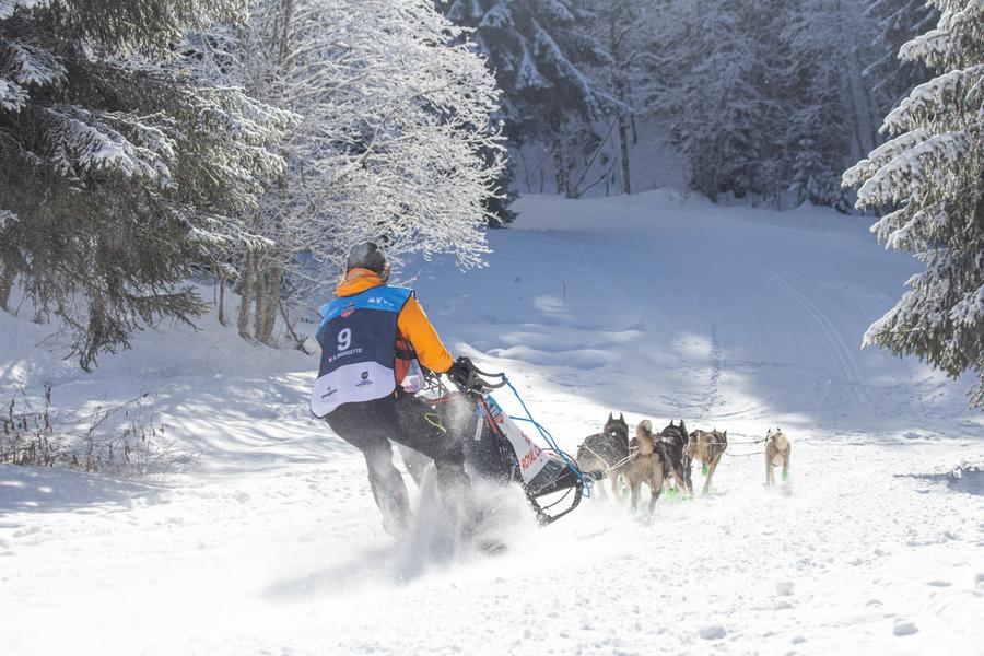 La Grande Odyssée Royal Canin : 3ème étape_Les Déserts