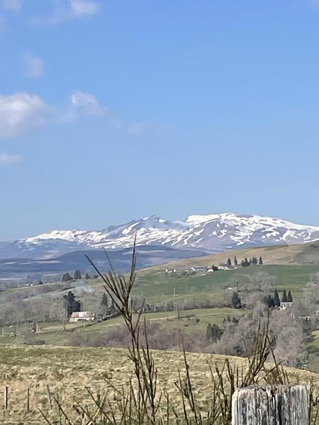 Randonnée pédestre