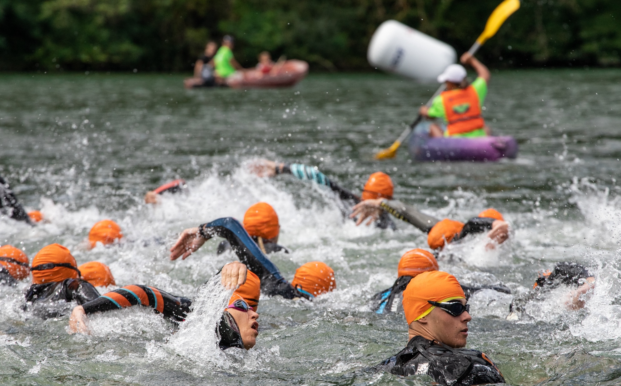 natation EDF VERCORSMAN S