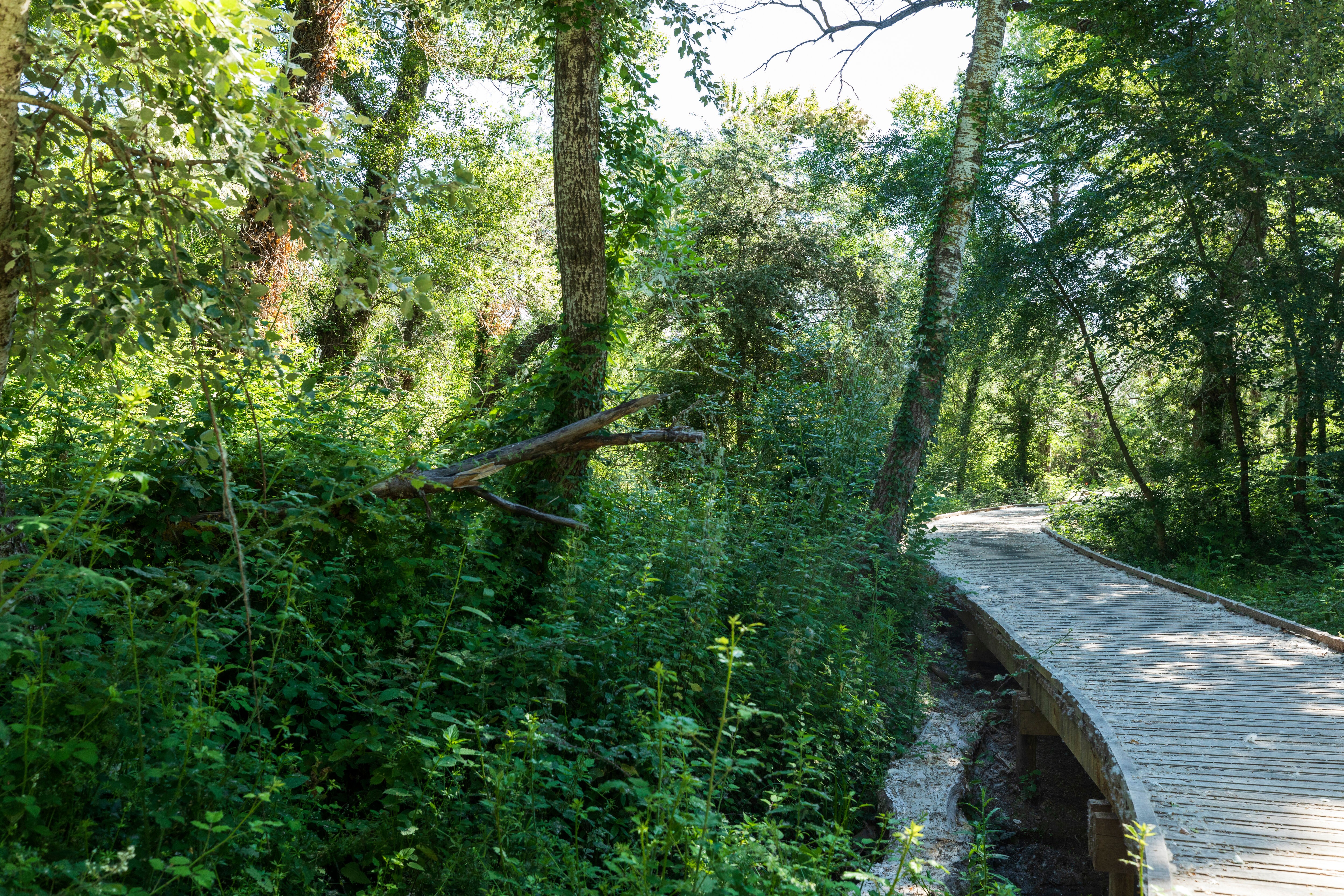 Véloroute Vers la Durance à vélo : Tronçon Mallemort - La Roque d'Anthéron , Mallemort - photo 2