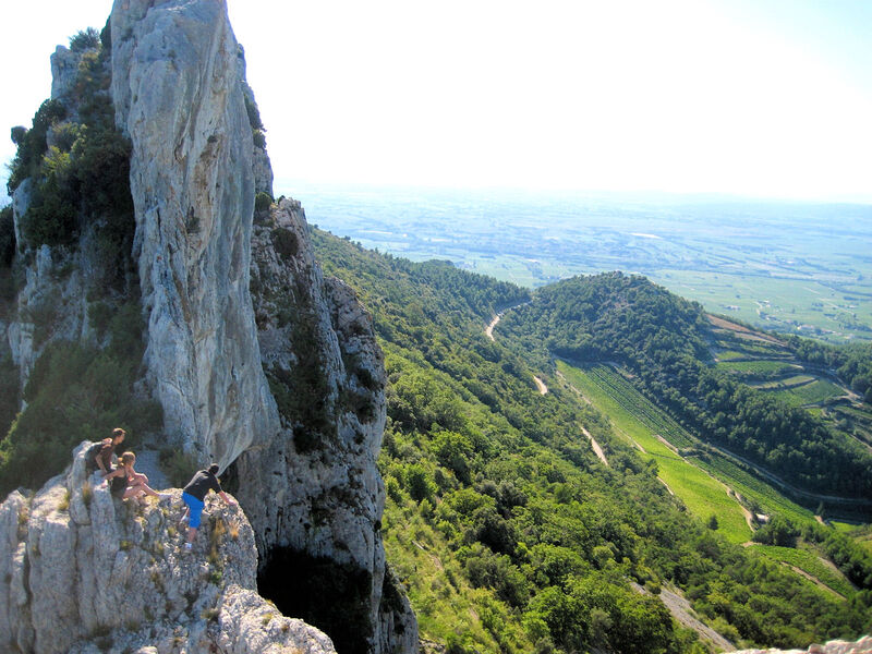 dentelles_de_montmirail_rando