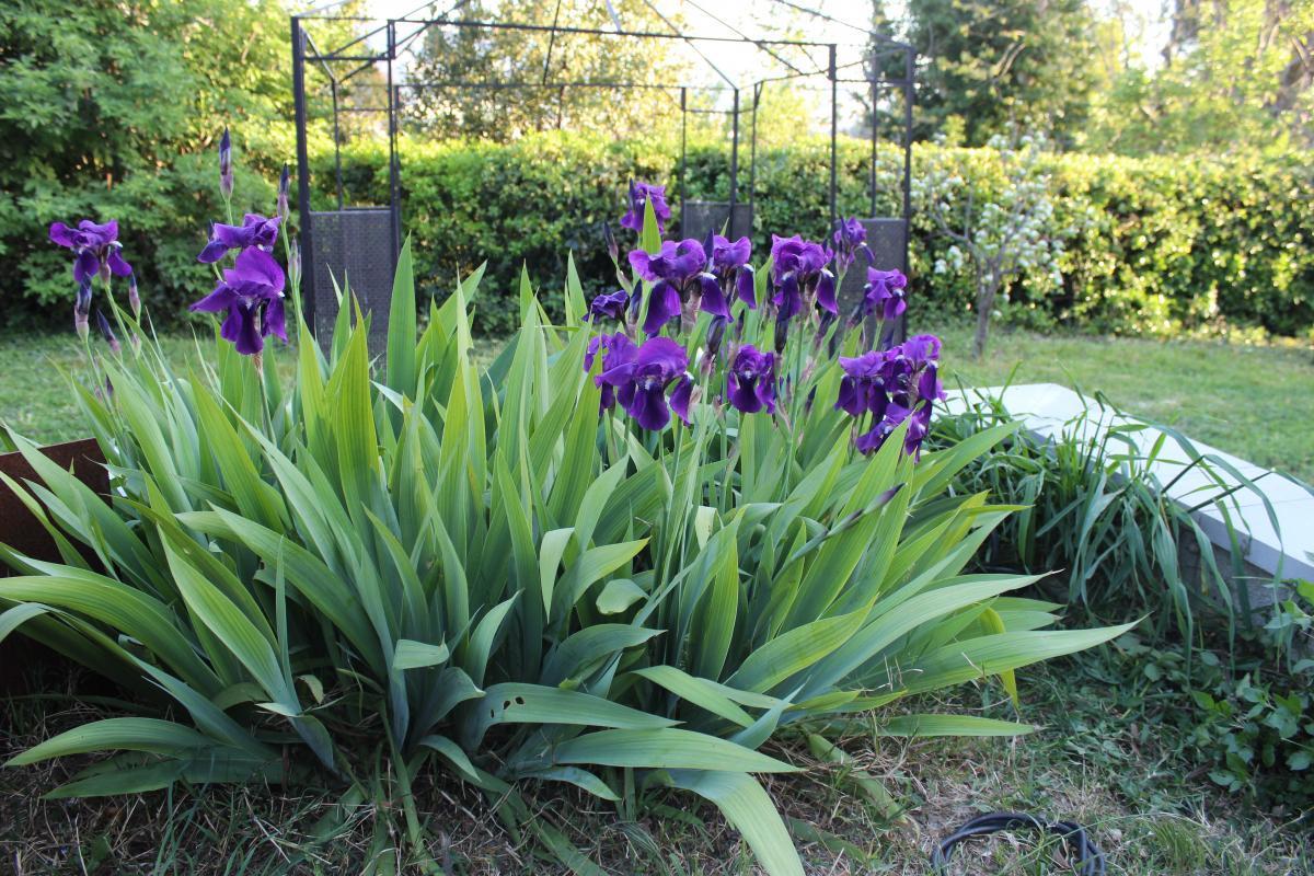 Les Terrasses De St Julien, Marseille 12e Arrondissement - photo 15
