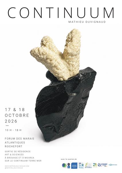 Sortie de résidence - Projet Continuum
