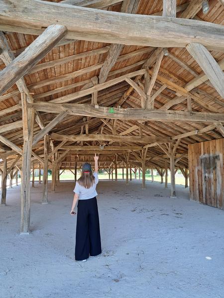 Carronnière de Mollardoury_Saint-Trivier-de-Courtes