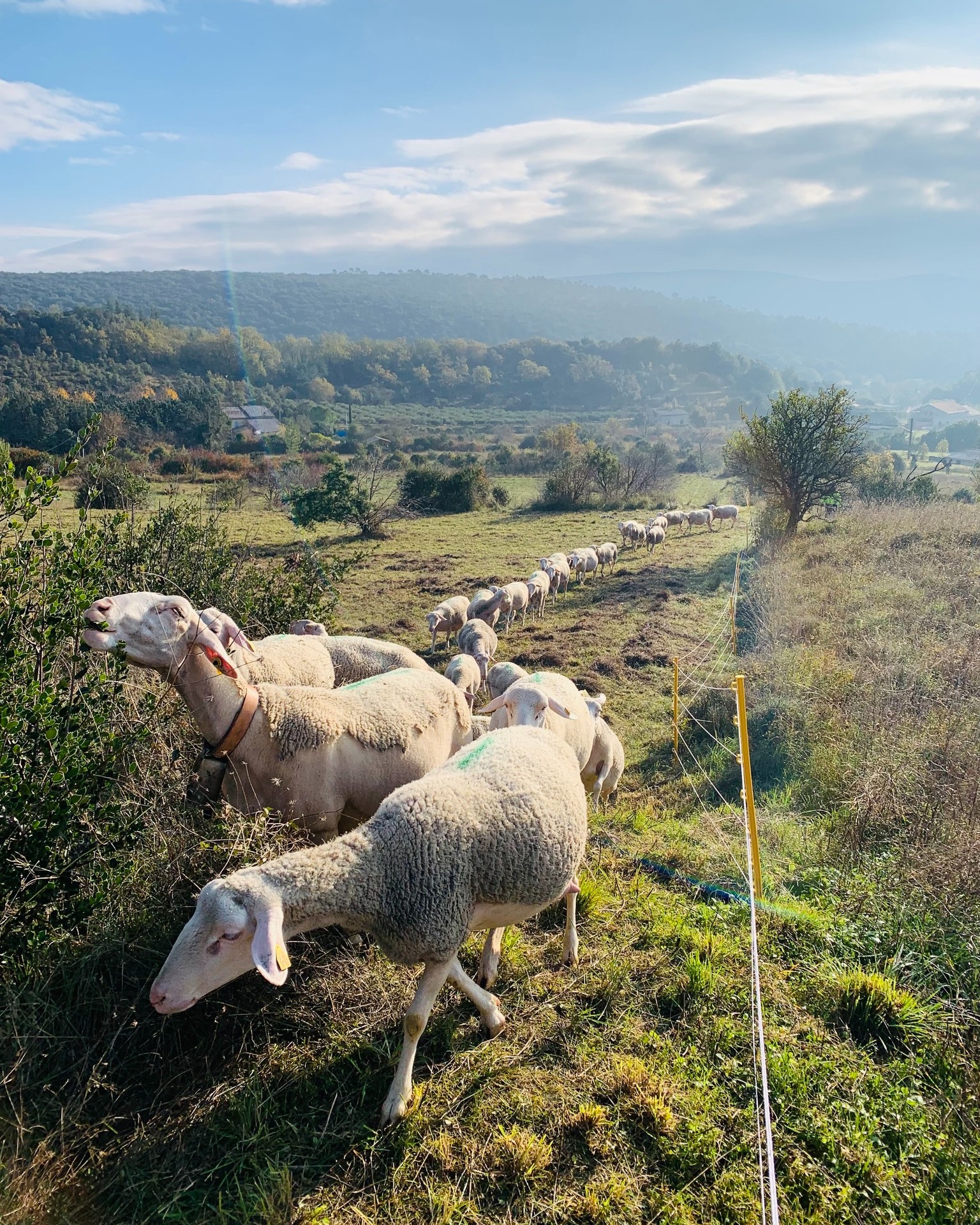 Ferme de la Pampa
