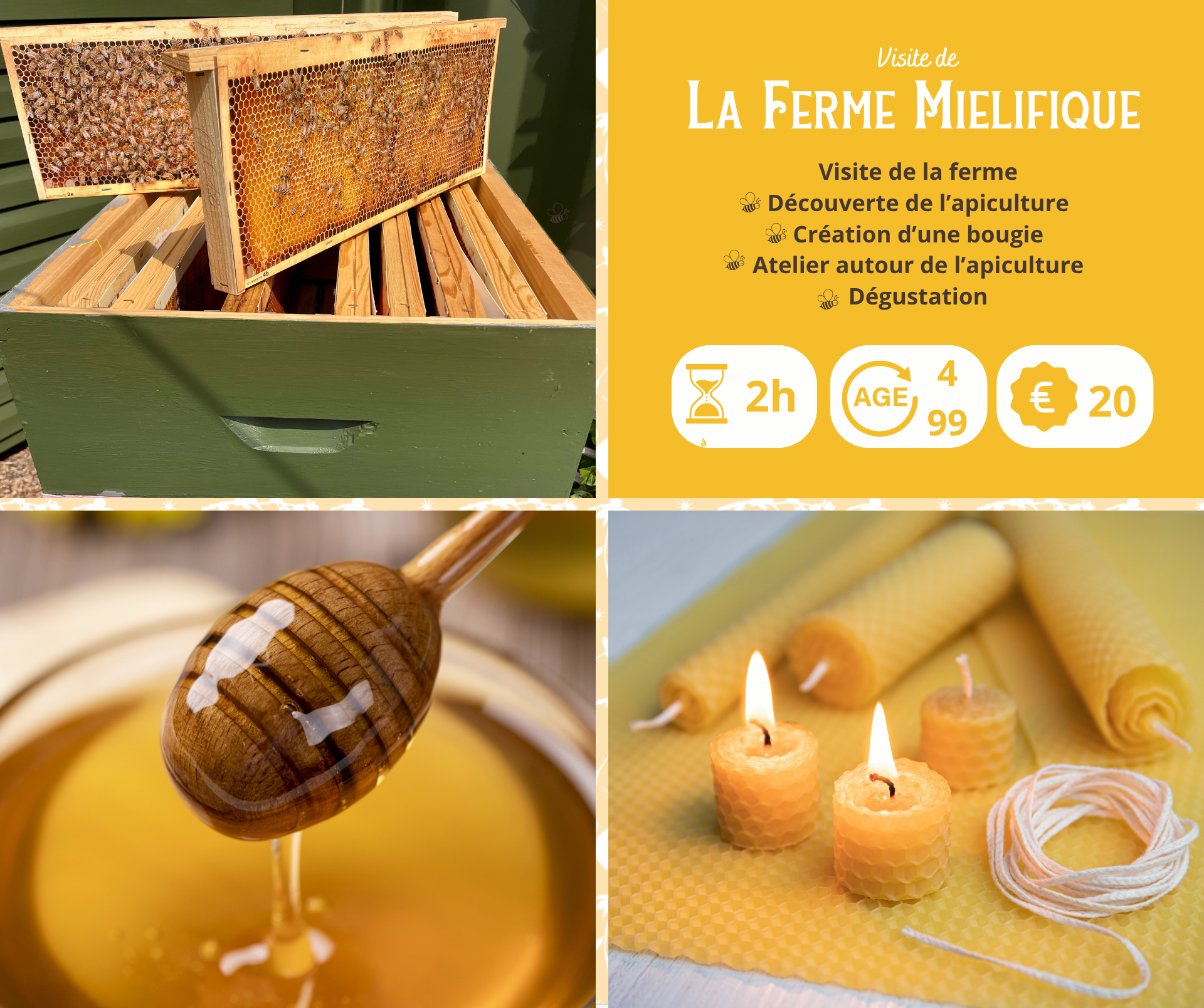 Visite de la ferme miélifique_Mornant