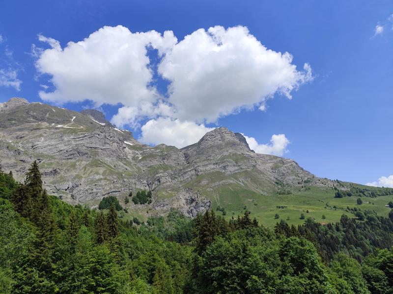Vue quatre têtes Vue quatre têtes