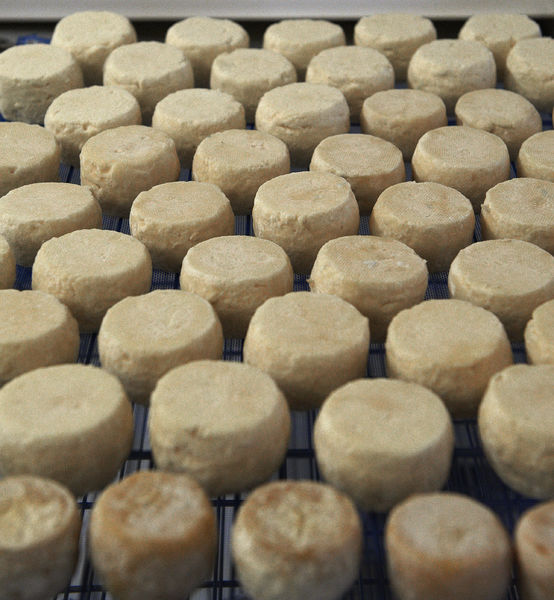 Crottins du GAEC Les Roches Fleuries - Saint-Gervais Mont-Blanc