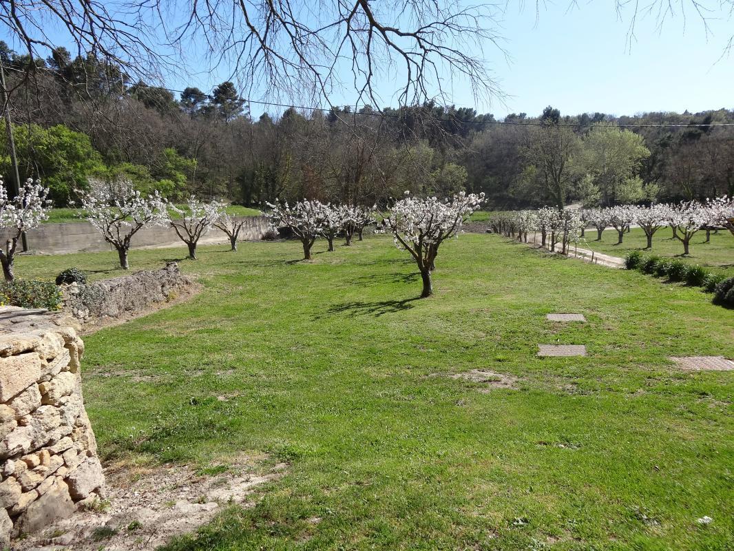 Les Micocouliers, Vernègues - photo 4