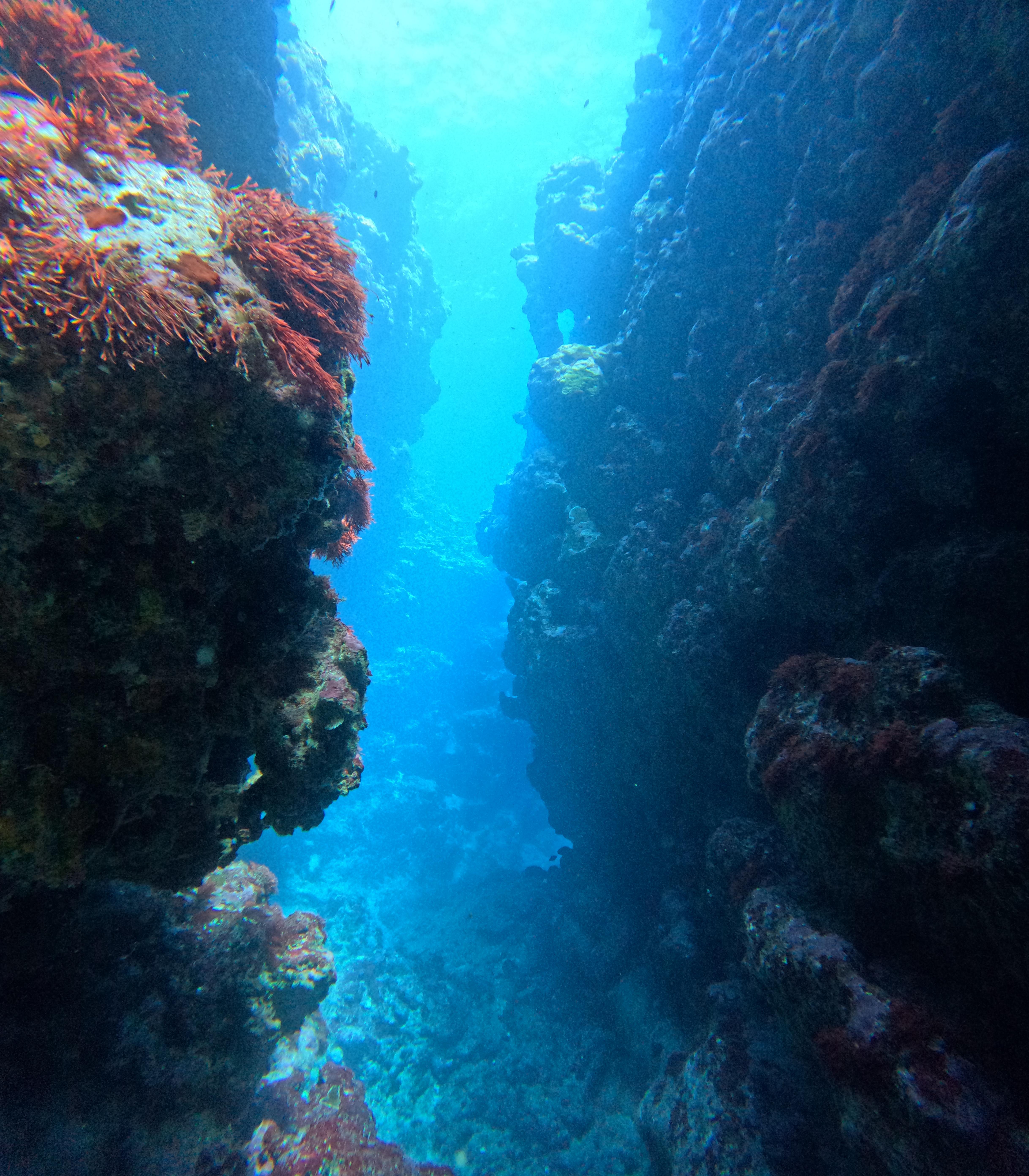 Exploration en plongée bouteille - Eden Blue Caledonia
