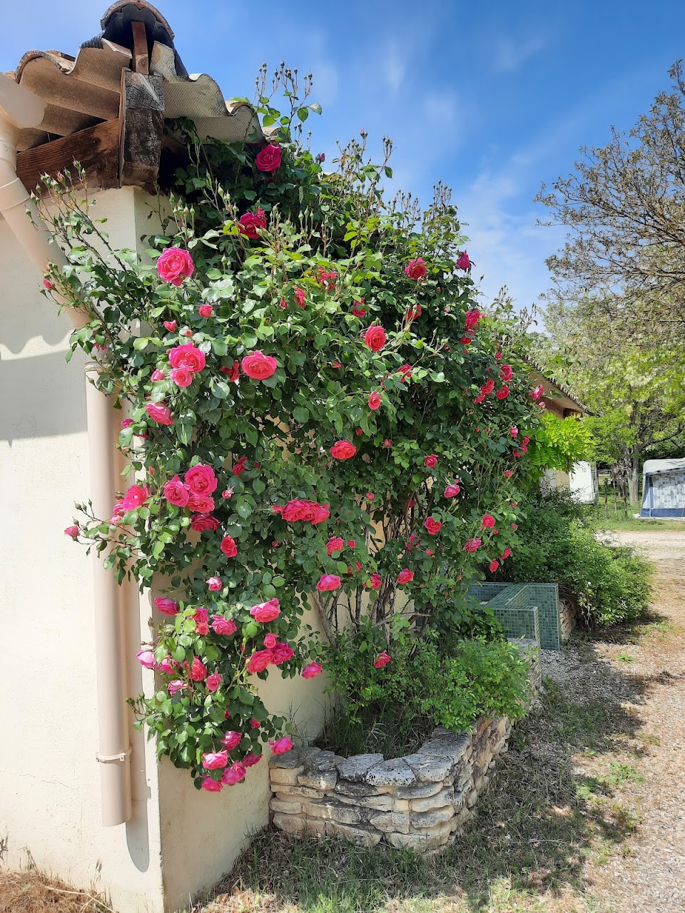 b9f6d9c91719fb77f0236e8de366605c