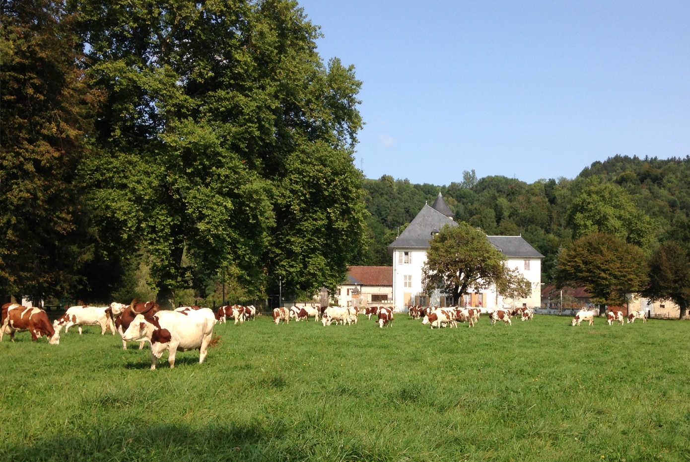 En pleine nature, bordé par les prés et la forêt