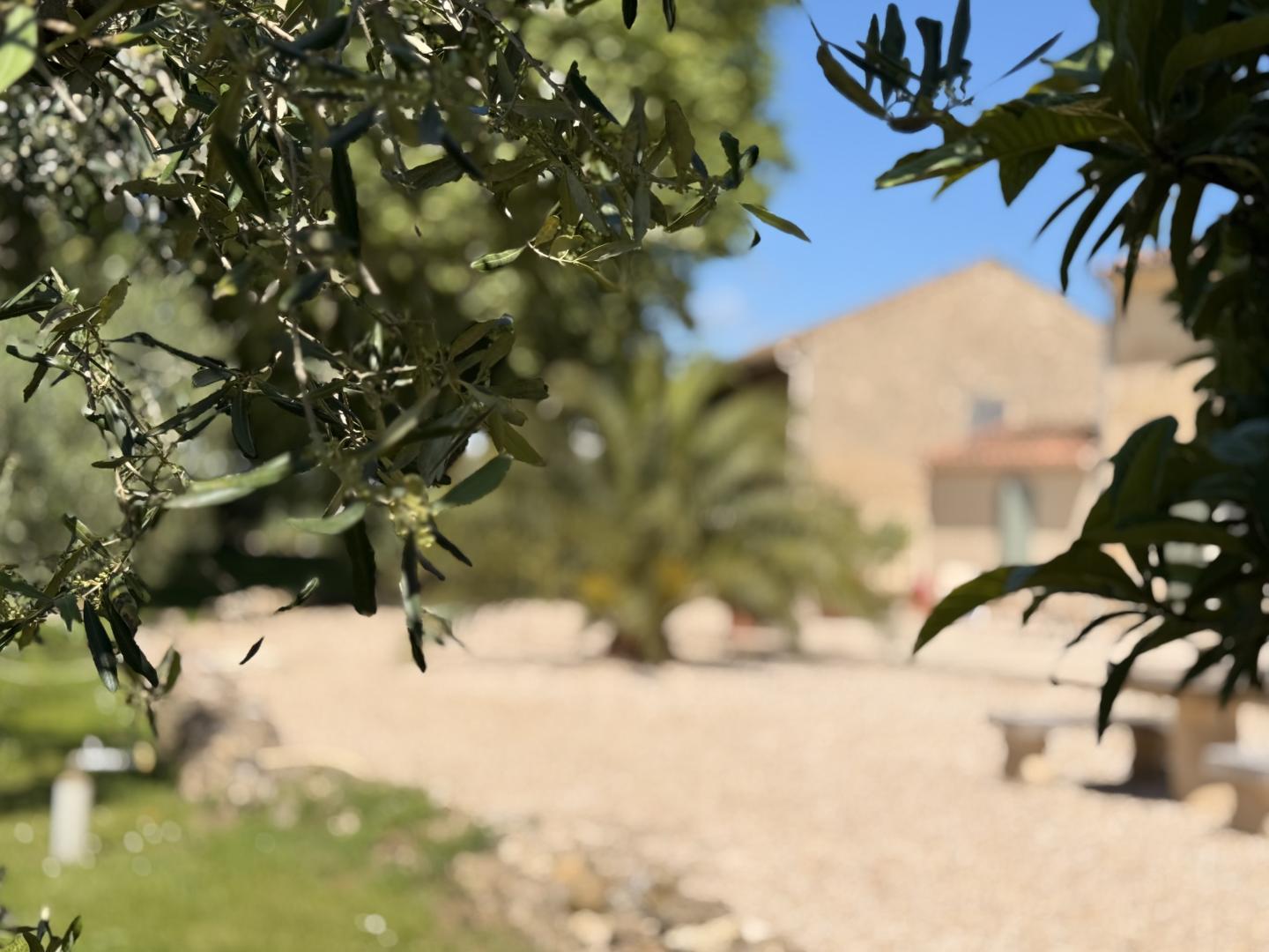 Gite L'Olivier, Fontvieille - photo 22