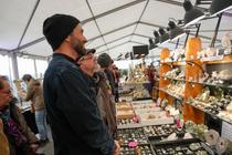 Un homme devant un étal de minéraux