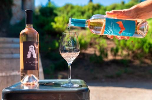 Atelier œnologie au musée du Niel_Hyères