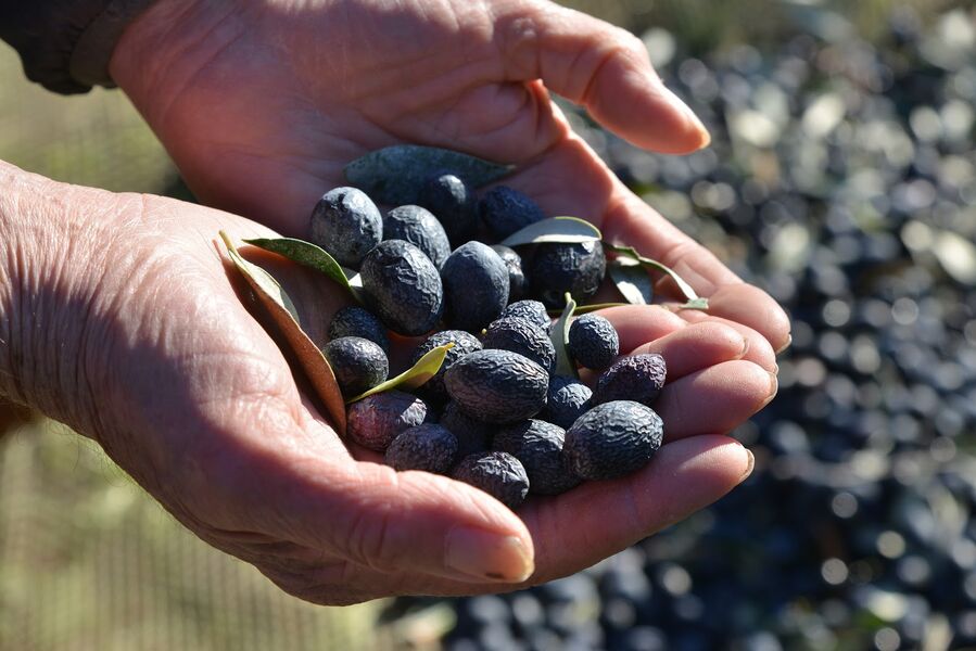 Empreinte d'Exception