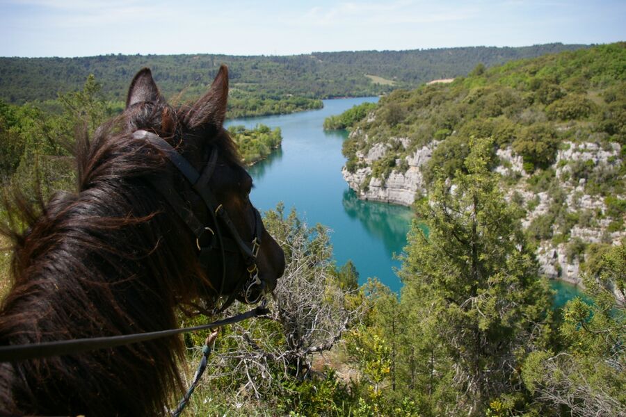 Vue sur les Gorges | Les Chevaux du Verdon Vue sur les Gorges
