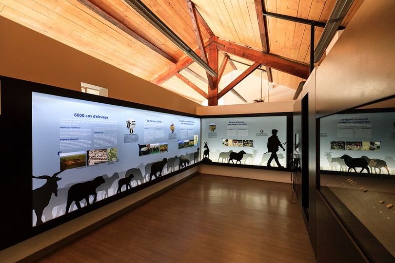 Chasse au trésor : mystère sur la Crau