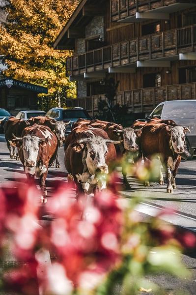 Veillée d'hiver : l'agriculture