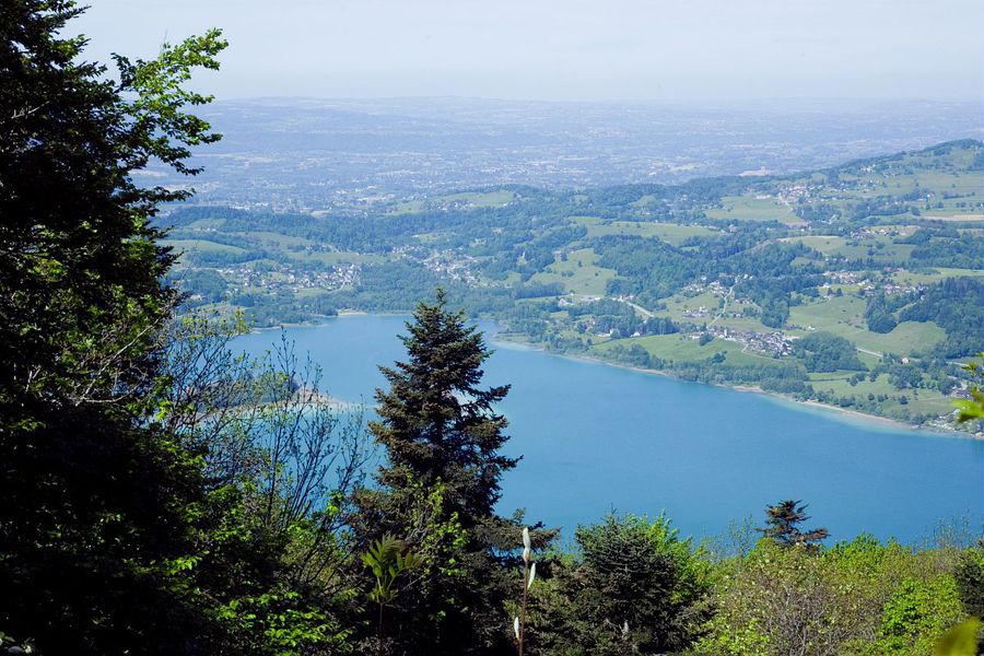 Lac d'Aiguebelette