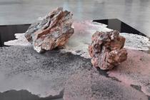 Exposition - A house of dust and lilies_Saint-Étienne