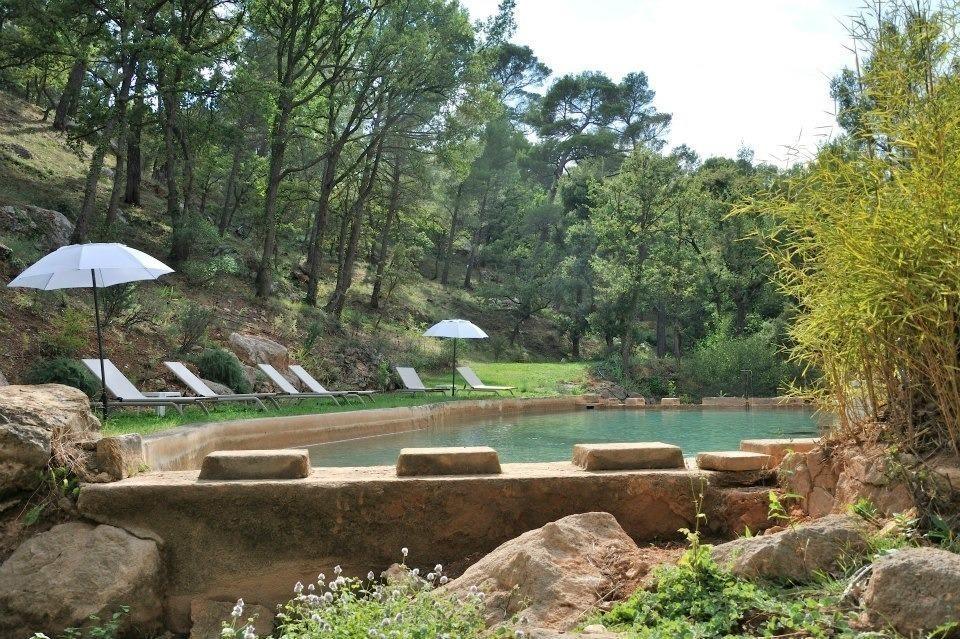 La Feuillère, Saint-Antonin-sur-Bayon - photo 20