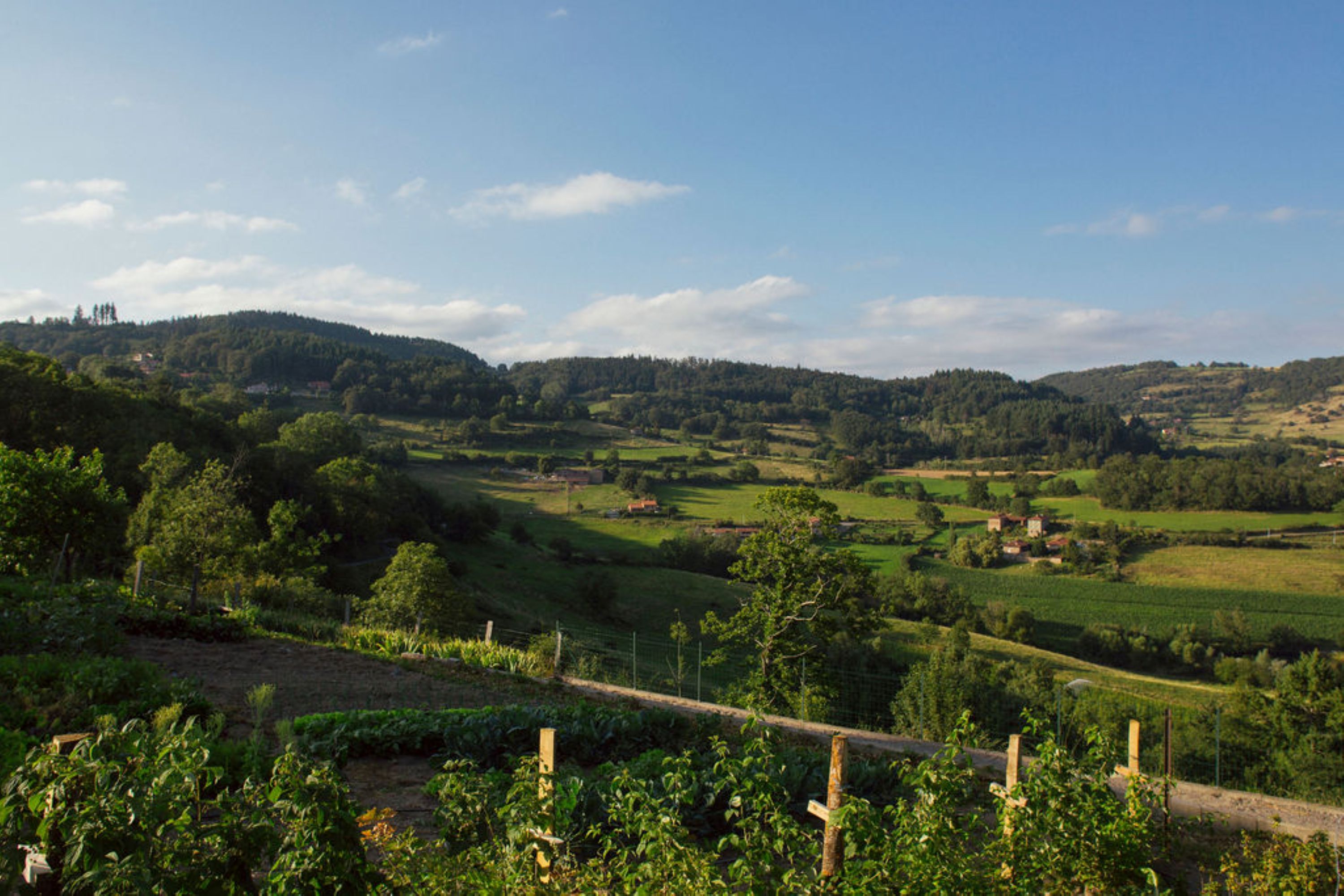 Panorama