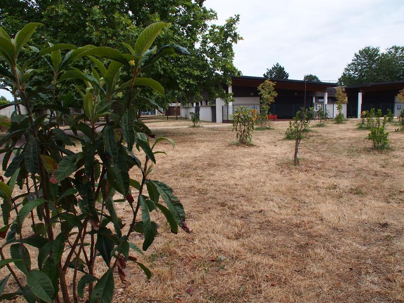 Parc Lussiana_Villemoisson-sur-Orge