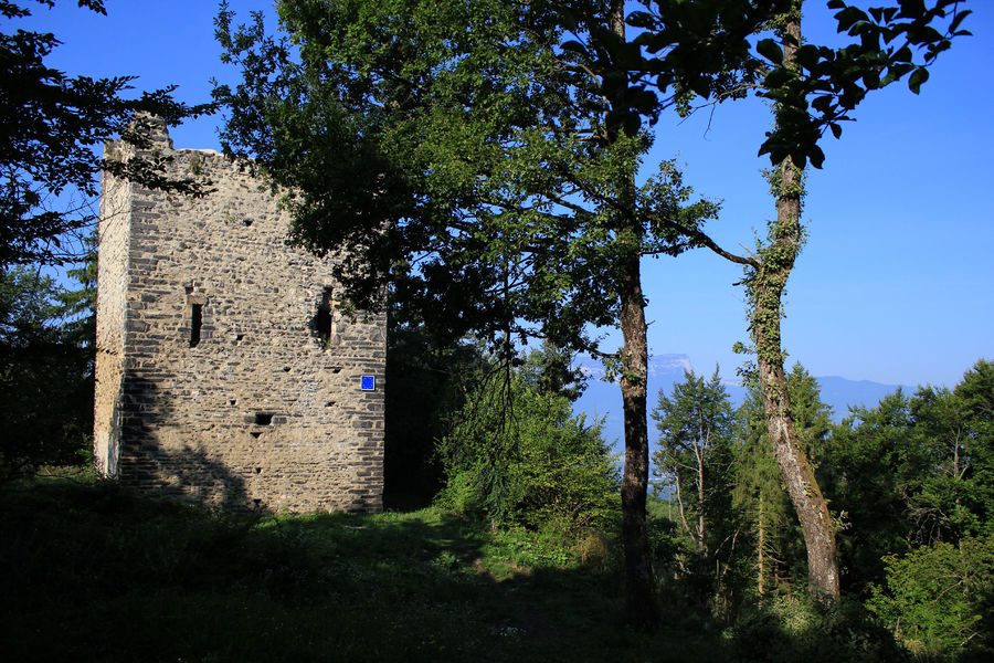 Ecole de l'archéologie