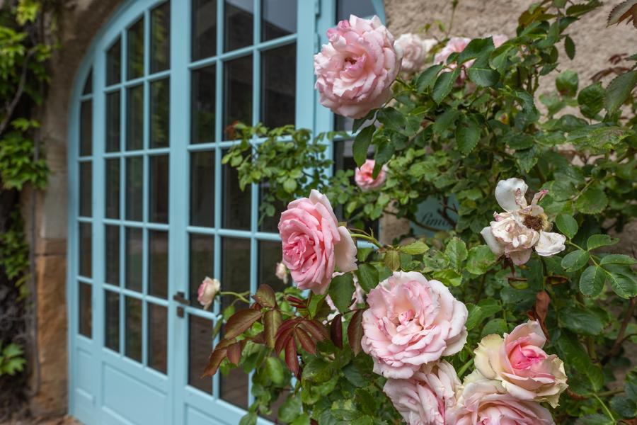 Entrée de la Boutique