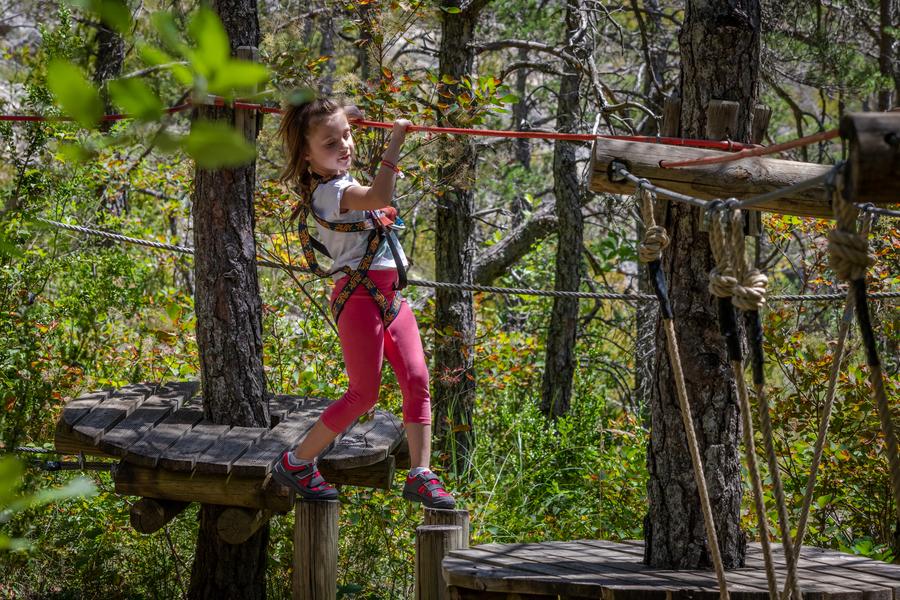 Adventure Forest