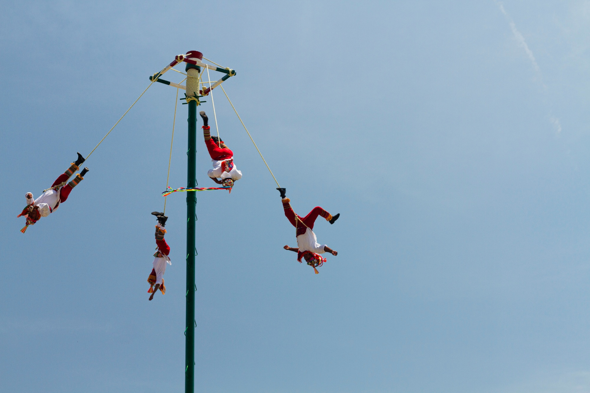 Spectacle d'ouverture - Les Estivales Sauvages