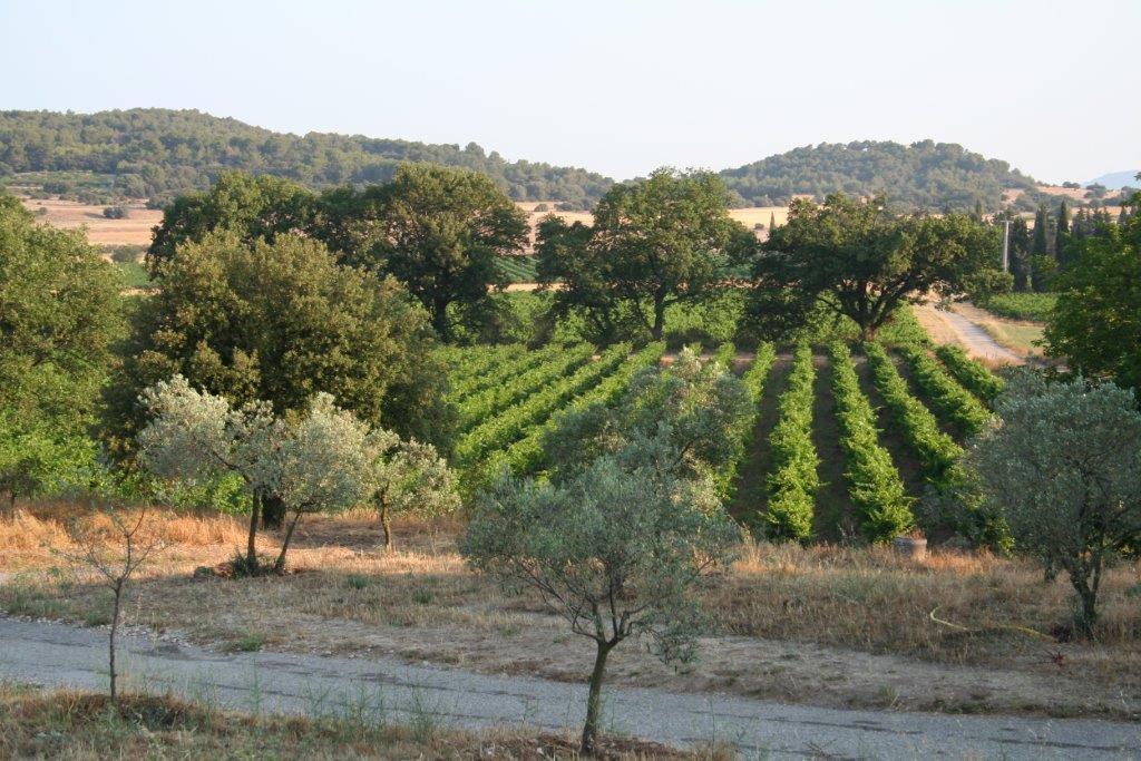 Château du Petit Sonnailler, Aurons - photo 36