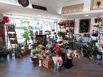 Clara Fleurs - Villeneuve-Loubet