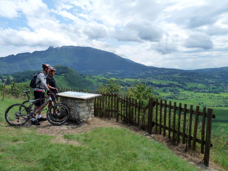 Circuit VTT du Vignoble - n°17