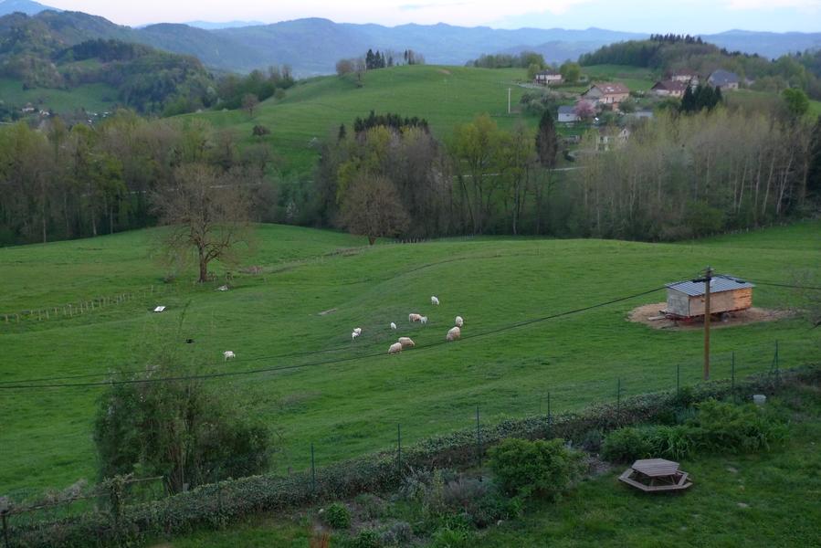 Le Château partagé_Dullin