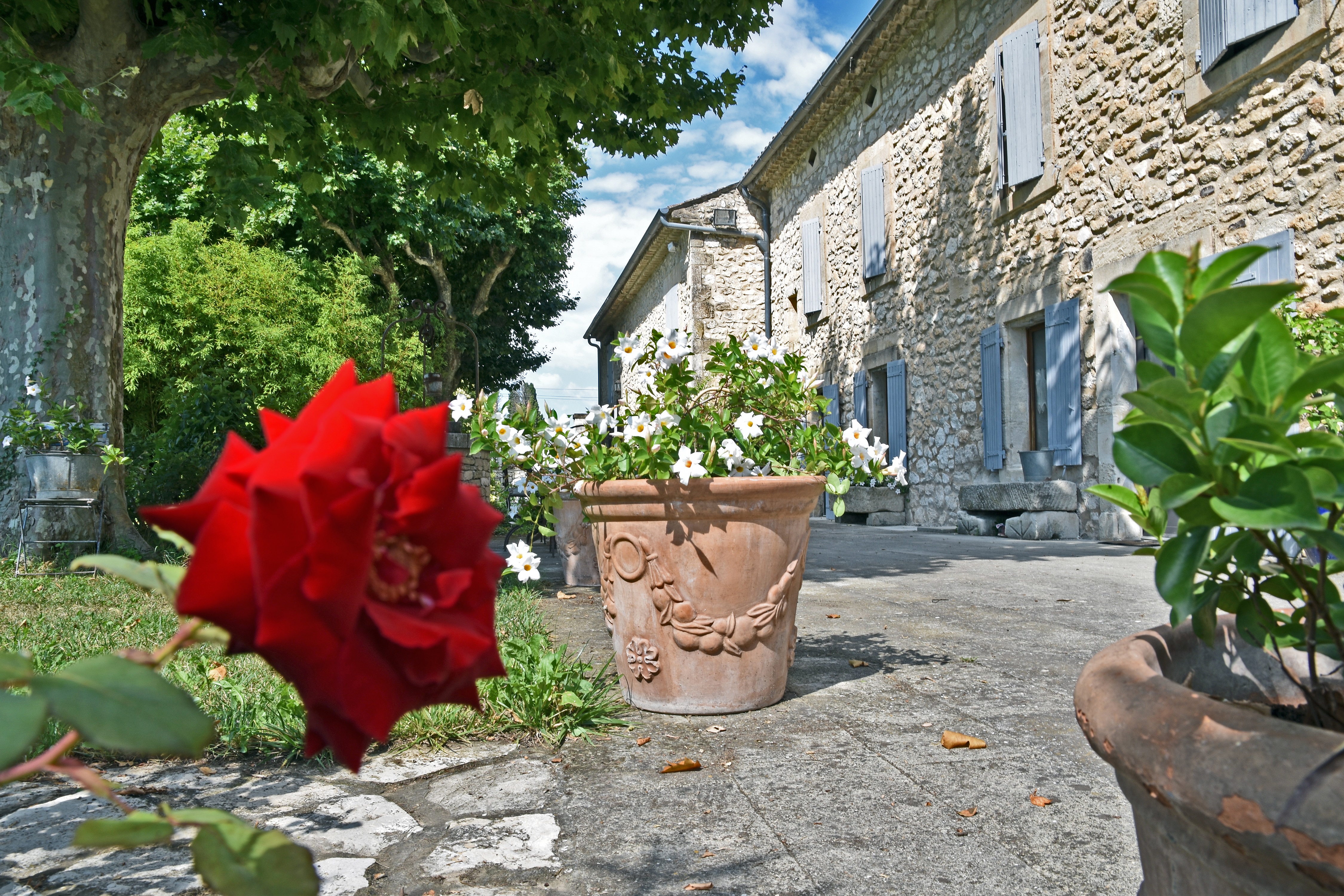 Mas Toulouse, Plan-d'Orgon - photo 15