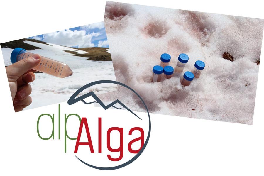 Atelier scientifique : le sang des glaciers...enquête en cours