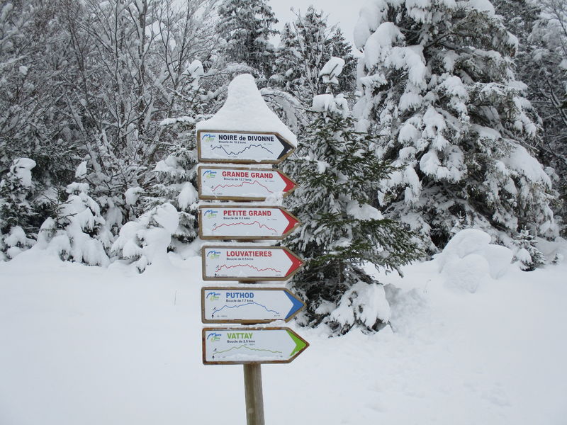 les lames directionnelles