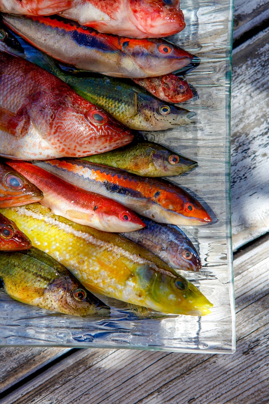 Marché aux poissons de Port-Saint-Louis-du-Rhône