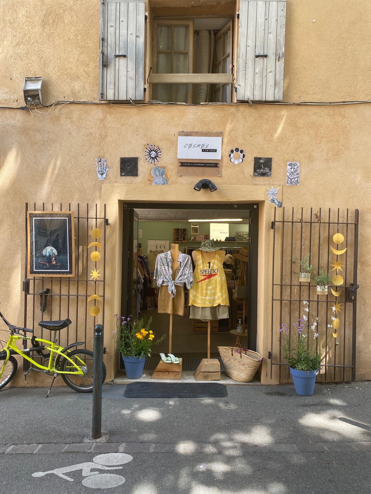 Cosmos Vintage - photo 5