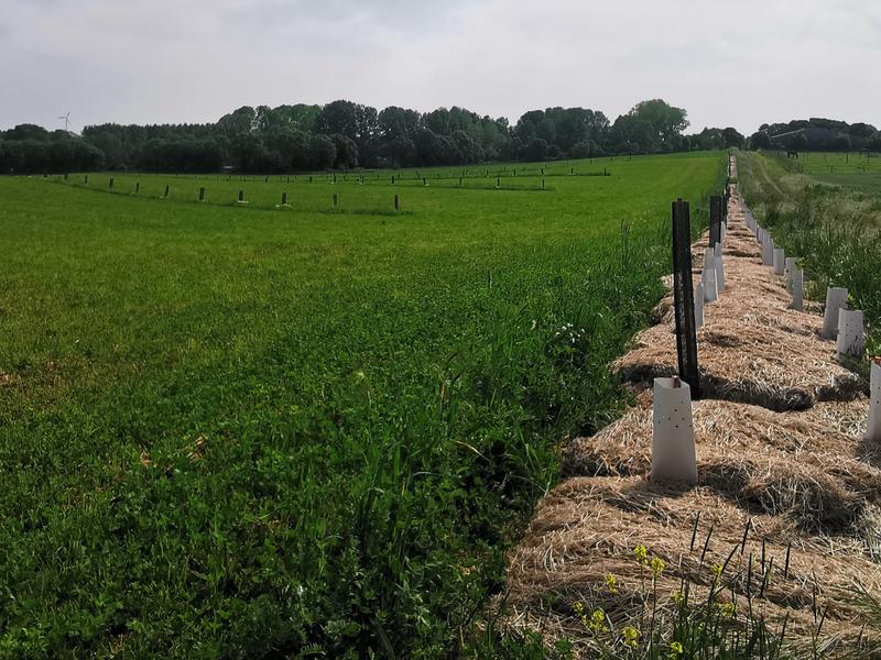 La Ferme des Granges