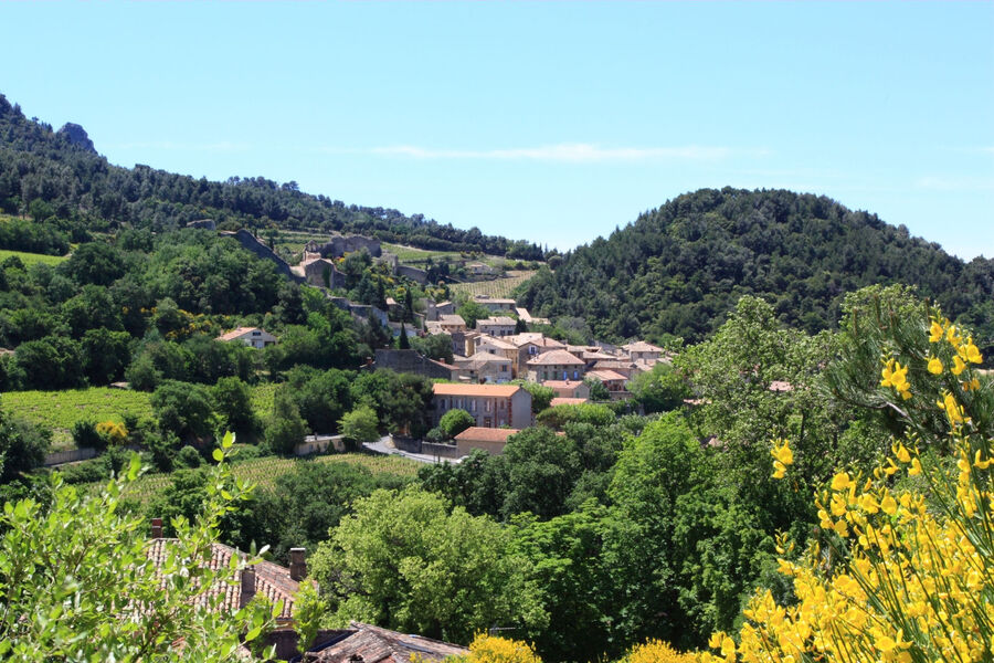 gigondas