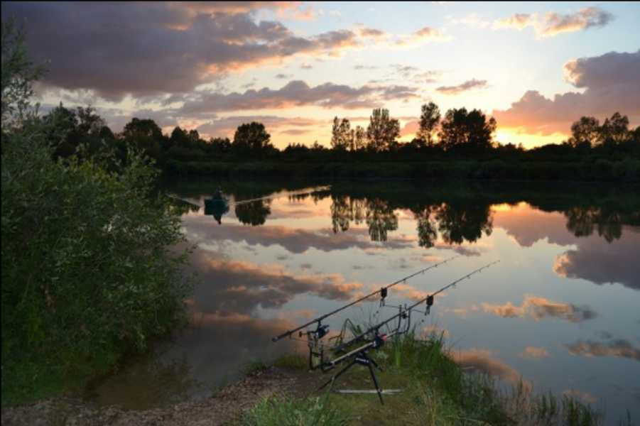 Etang De Peche En Seine Et Marne