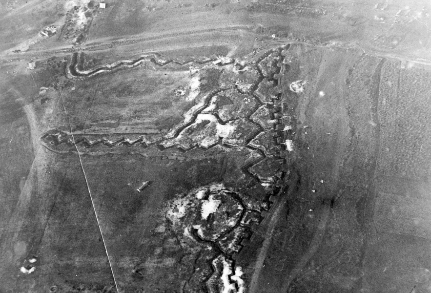 Visite guidée - Les cicatrices de la terre : la nature de la Grande Guerre