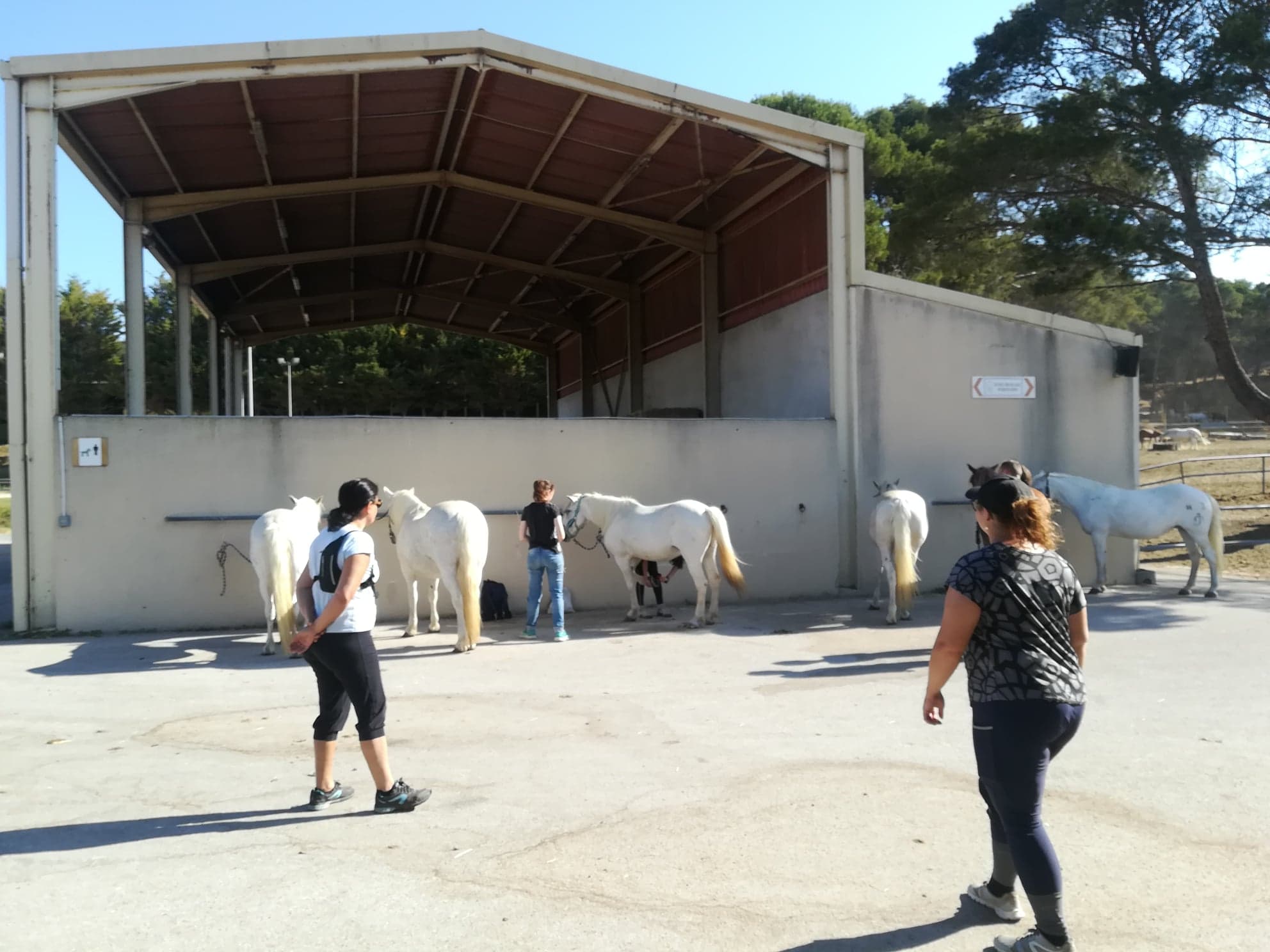 Balade à cheval au Deven