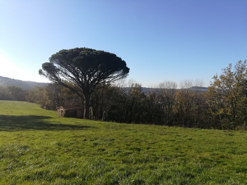 Chemin de Sainte Juliane