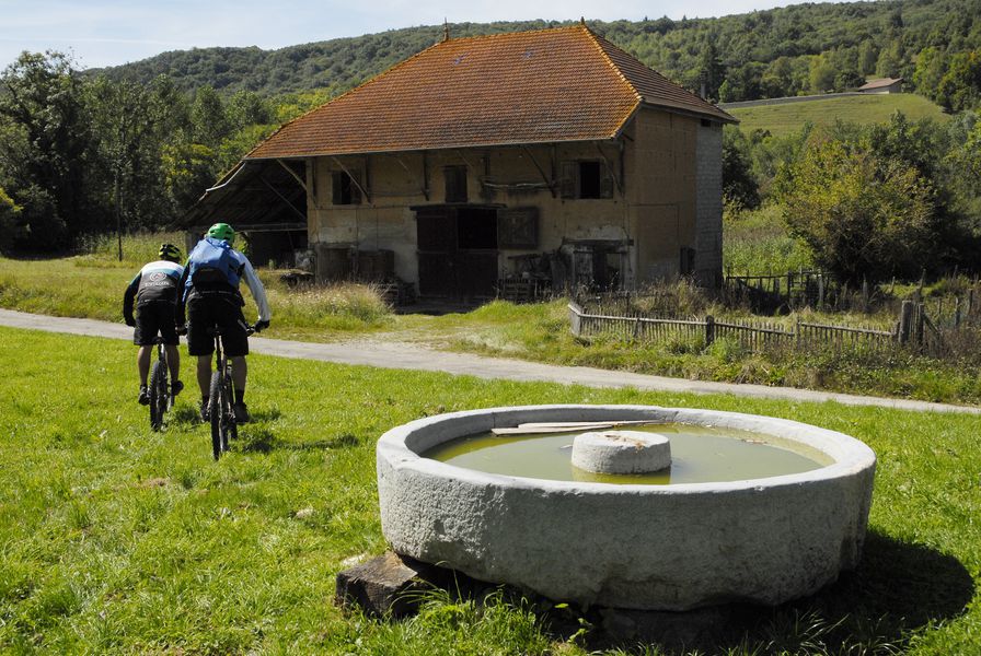 Circuit VTT le champ des vaches