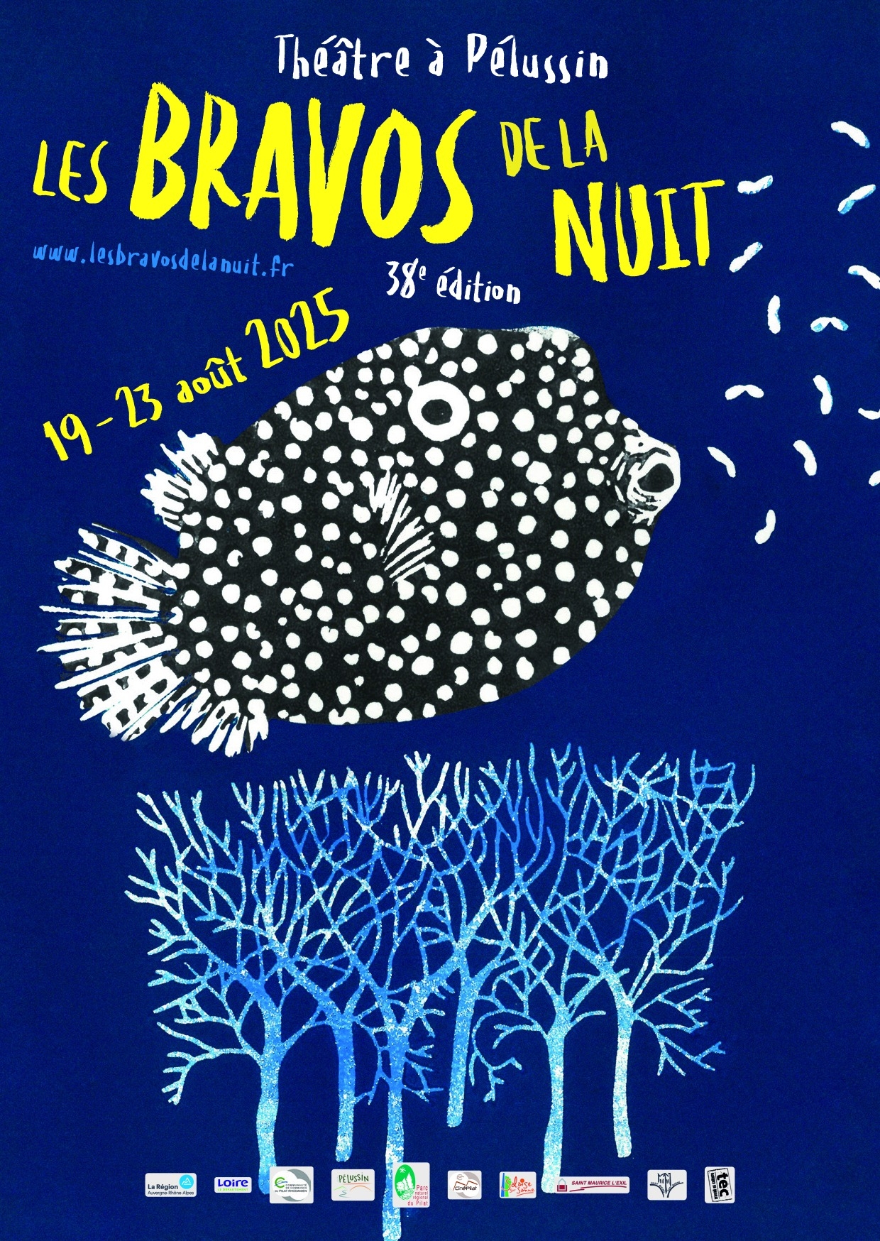 Festival Les Bravos de la Nuit